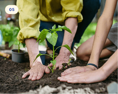 Long-term sustainability of educational impact